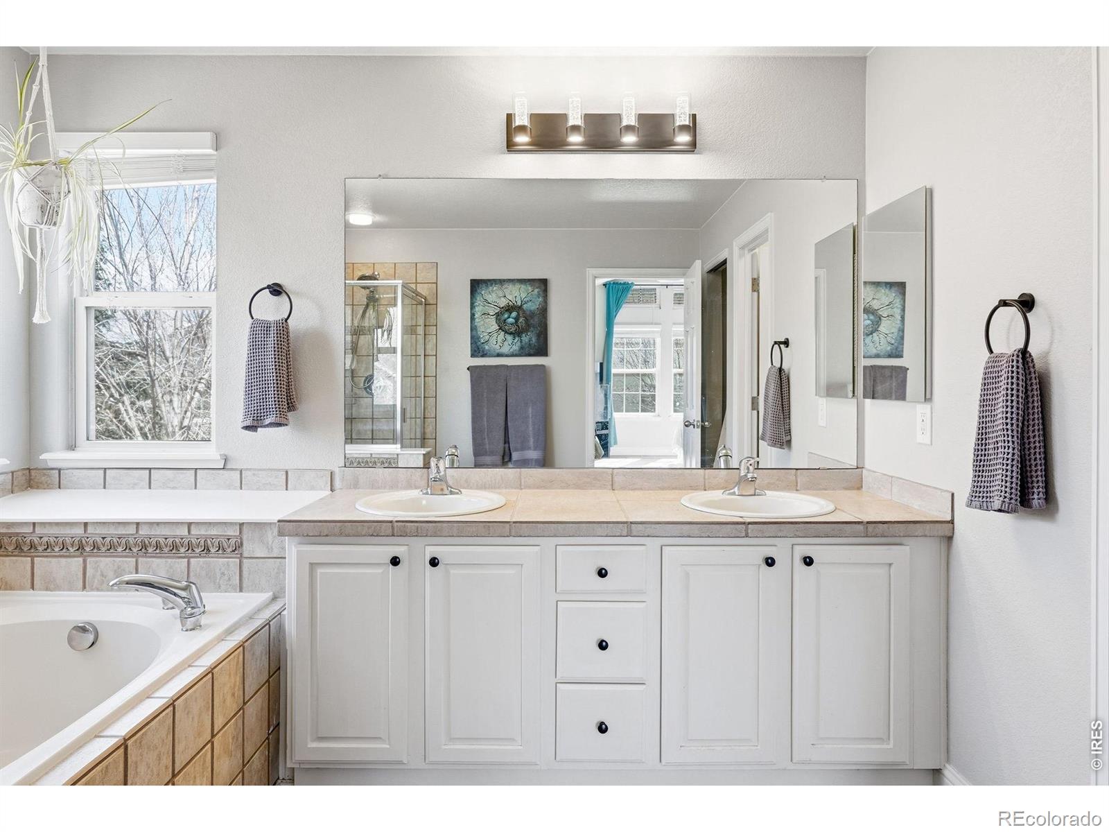 5204 Clover Basin Drive Longmont CO 80503