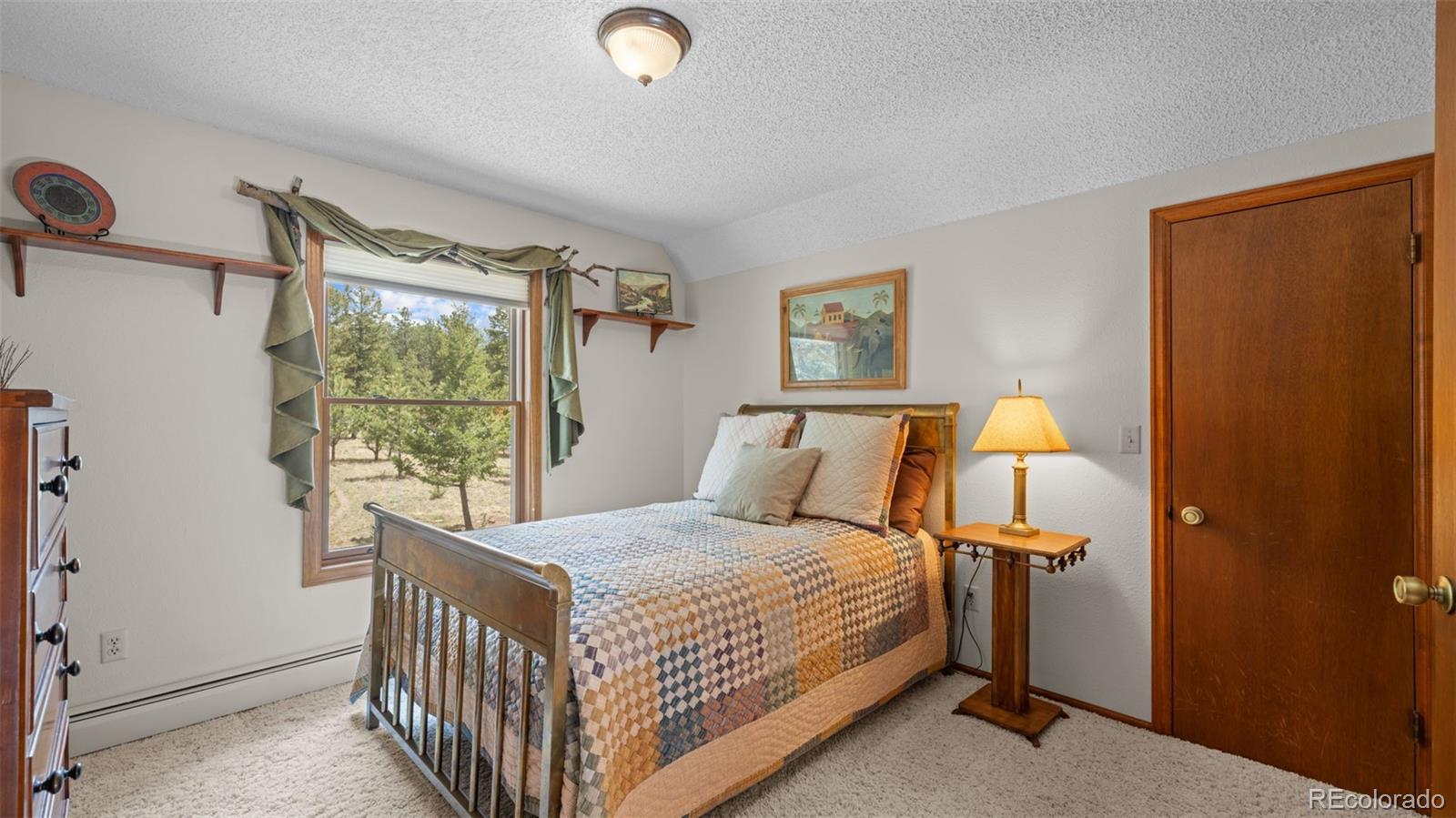 370 High View Circle Woodland Park CO 80863