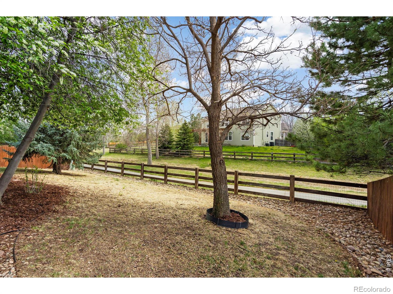6969 Rosemont Court Fort Collins CO 80525
