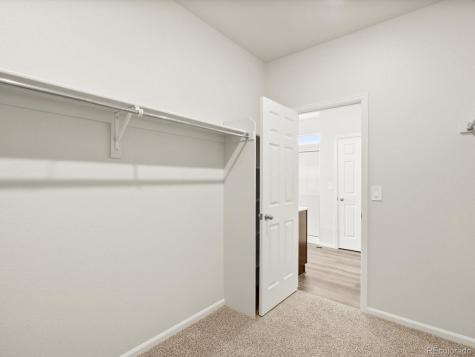 1597 Colorado River Drive Windsor CO 80550