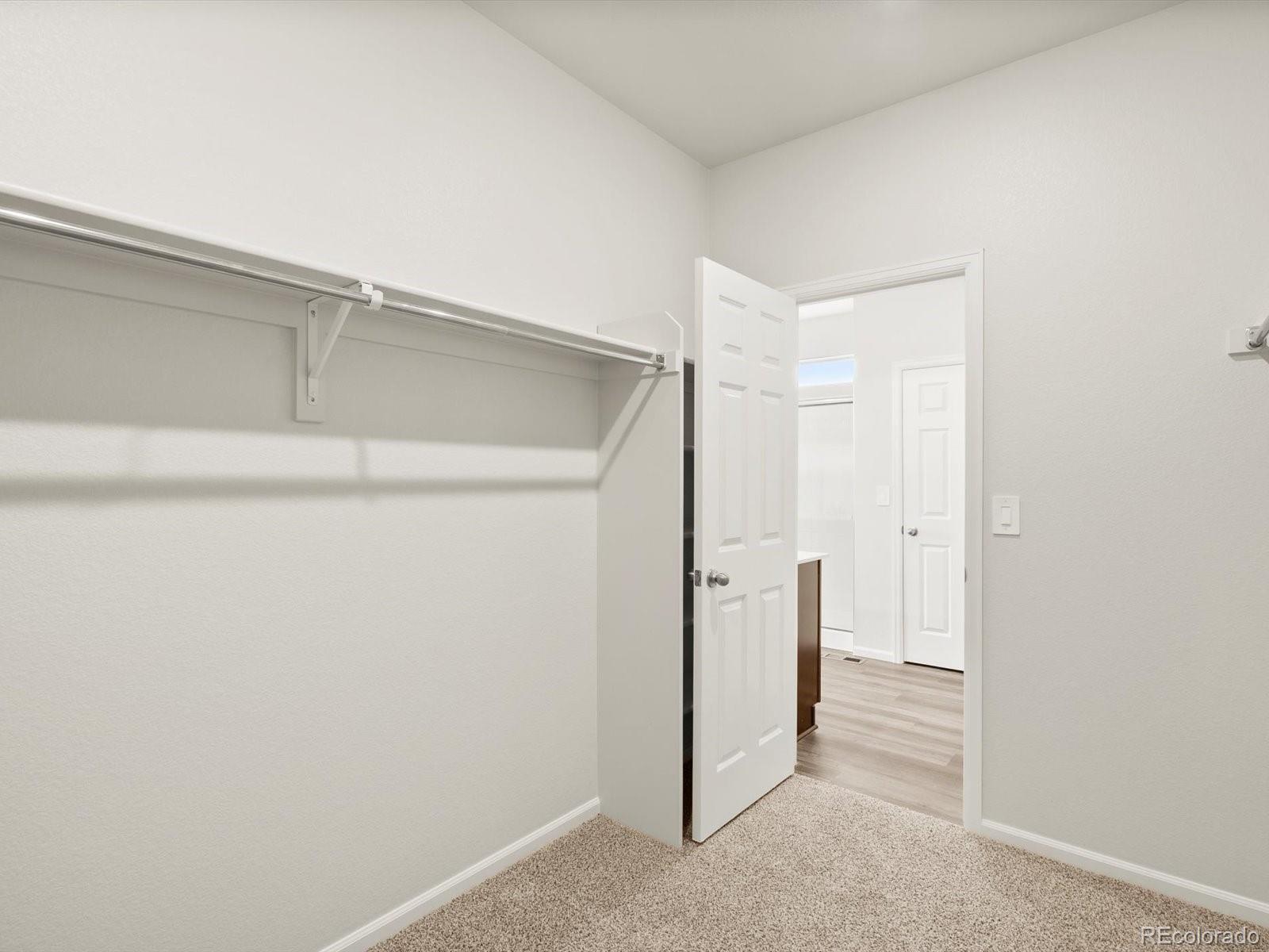 1597 Colorado River Drive Windsor CO 80550