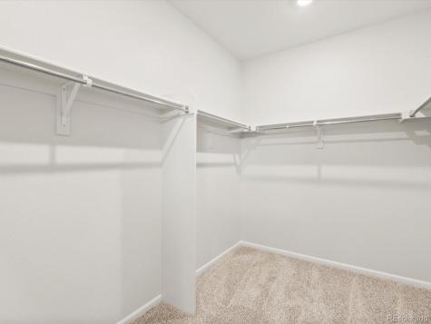 1597 Colorado River Drive Windsor CO 80550