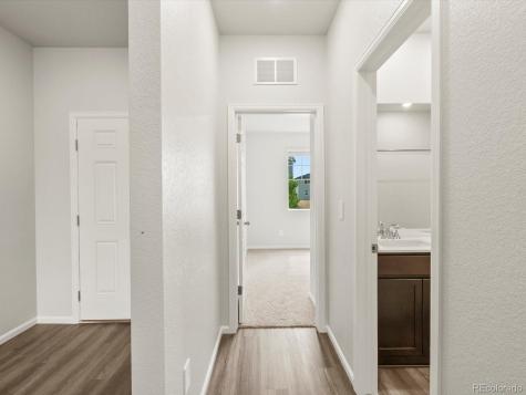 1597 Colorado River Drive Windsor CO 80550