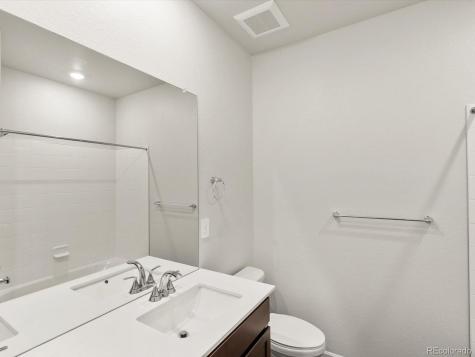 1597 Colorado River Drive Windsor CO 80550