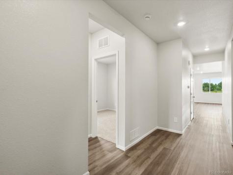 1597 Colorado River Drive Windsor CO 80550