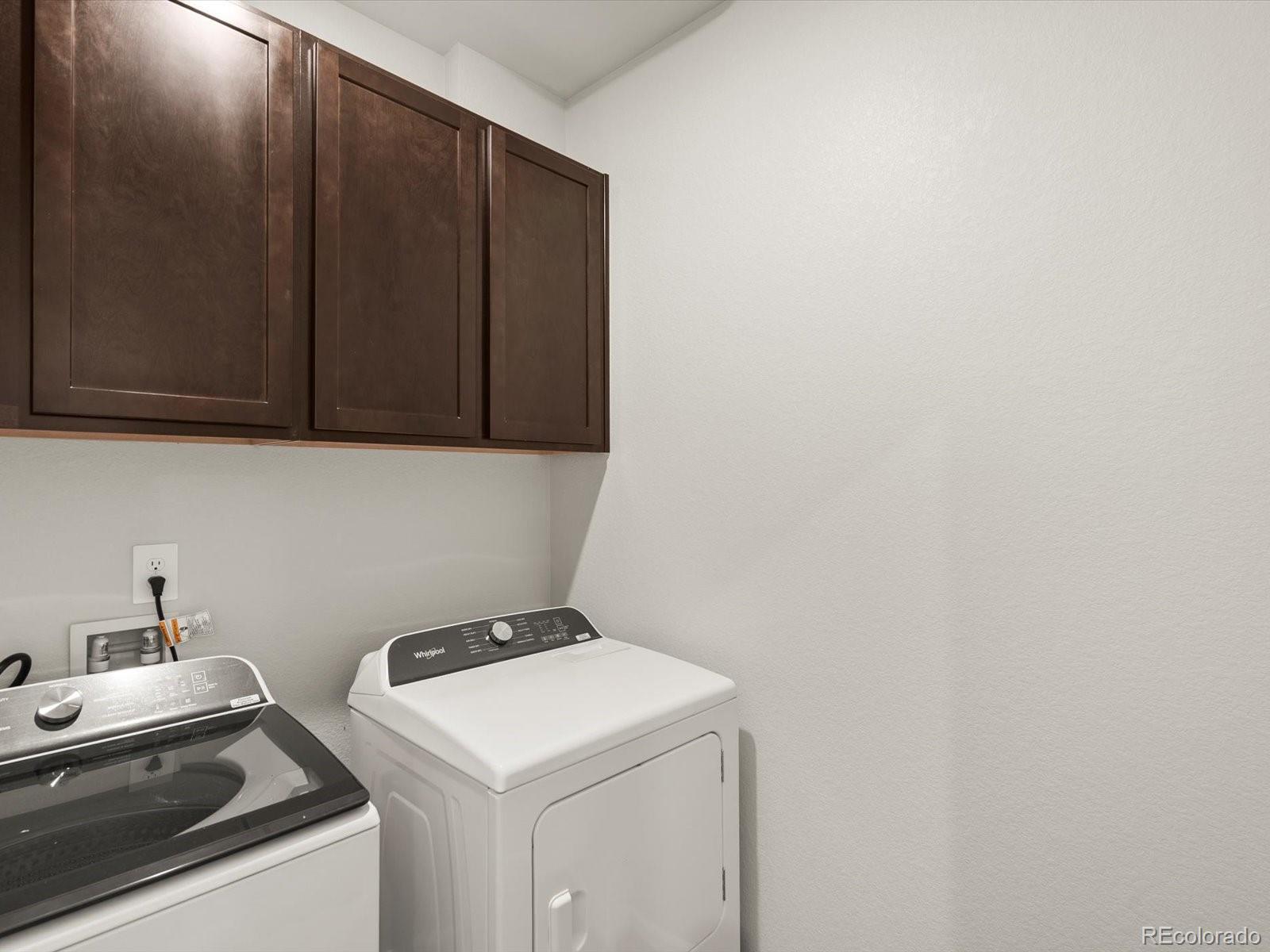 1597 Colorado River Drive Windsor CO 80550