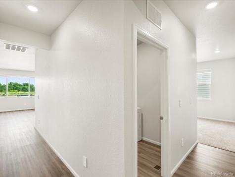 1597 Colorado River Drive Windsor CO 80550
