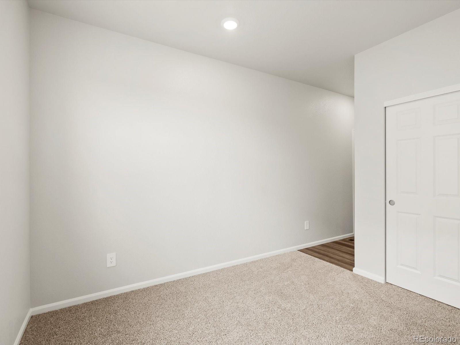 1597 Colorado River Drive Windsor CO 80550