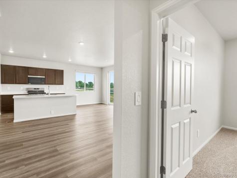 1597 Colorado River Drive Windsor CO 80550
