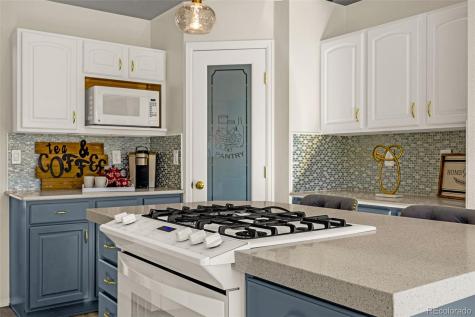 1310 Bison Ridge Drive Colorado Springs CO 80919