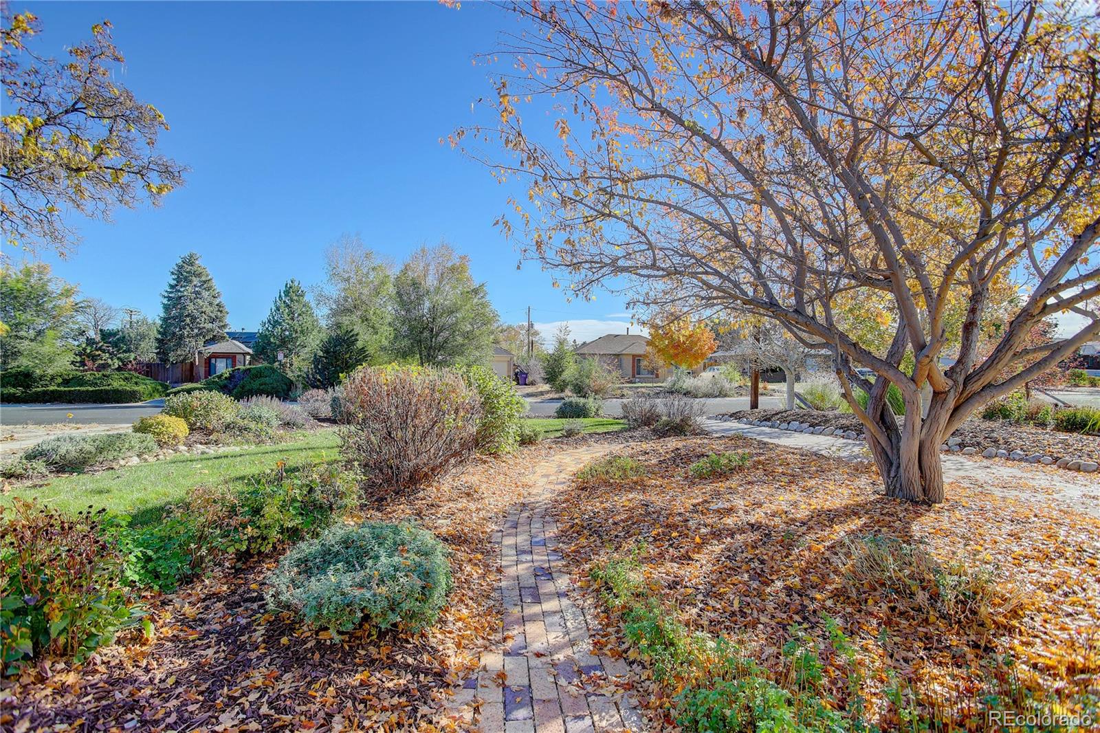 2555 Poplar Street Denver CO 80207