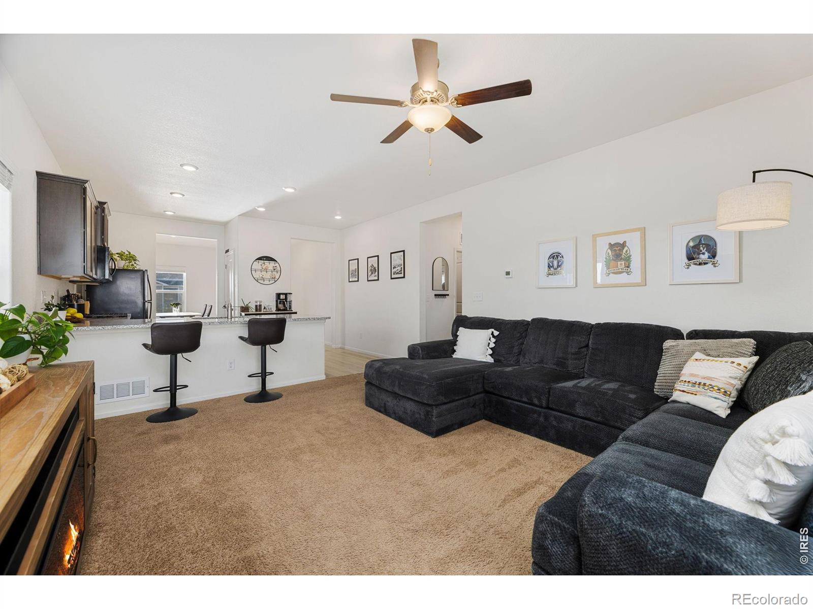 1078 Long Meadows Street Severance CO 80550