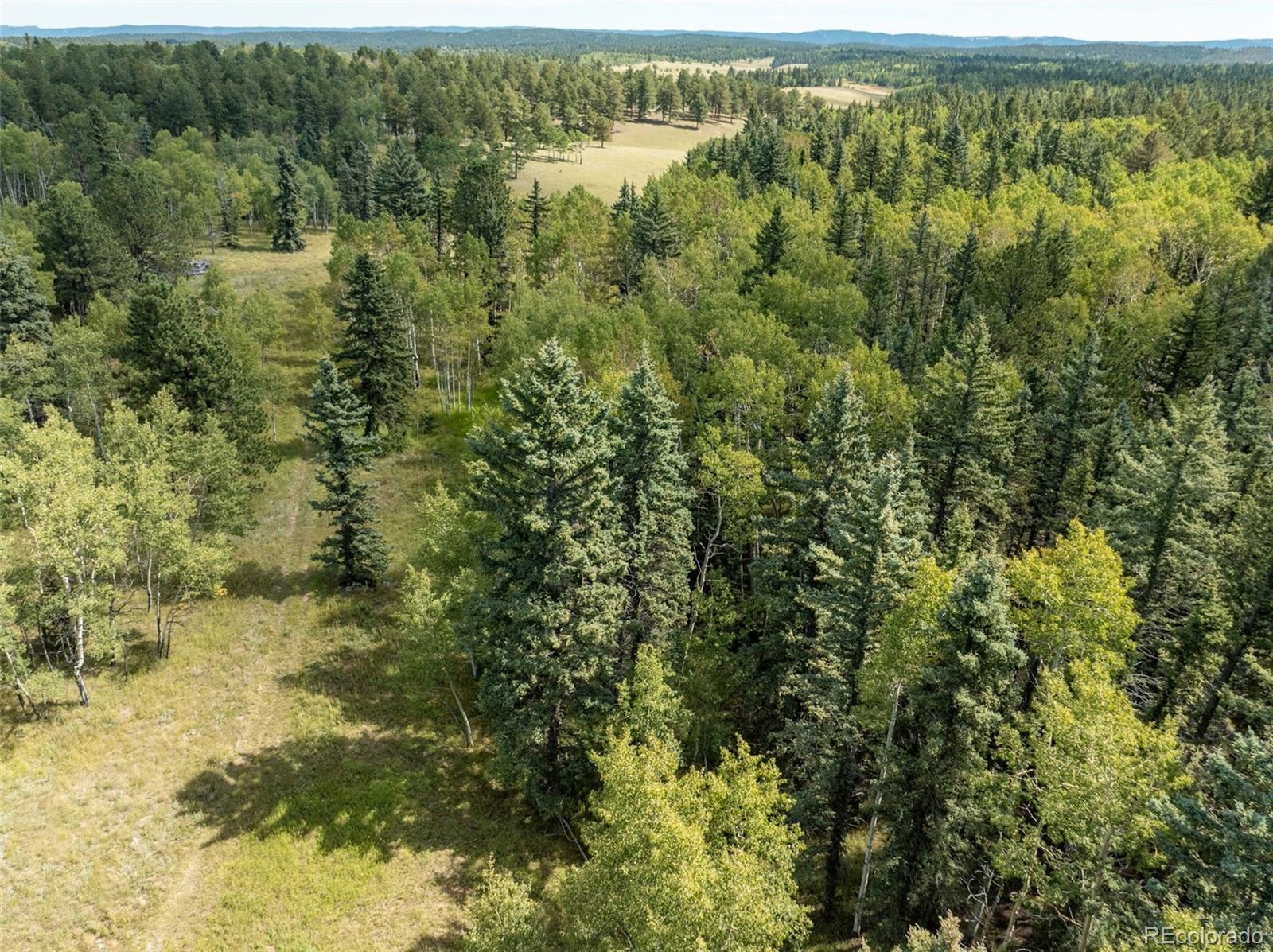 284 County Road 511 Road Divide CO 80814