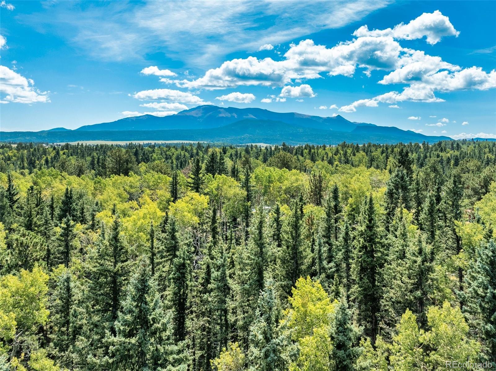 284 County Road 511 Road Divide CO 80814