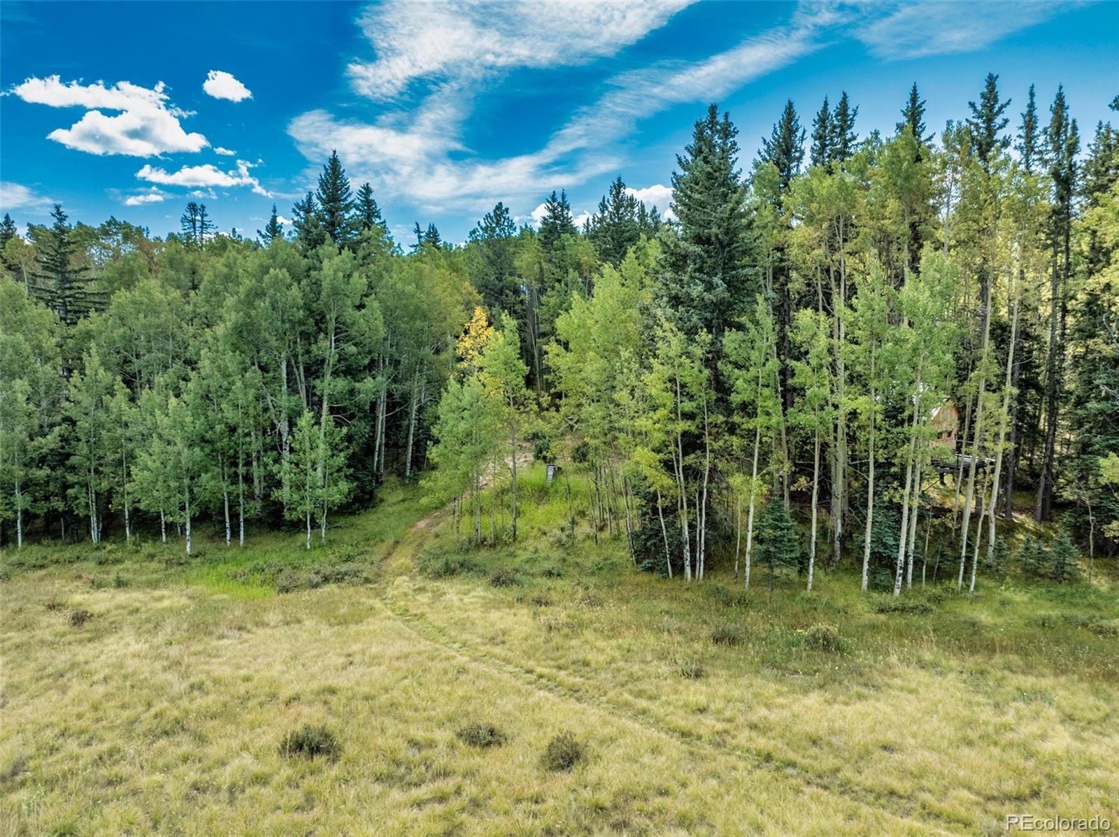 284 County Road 511 Road Divide CO 80814
