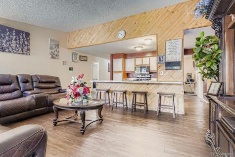 1067 S Joplin Way Aurora CO 80017