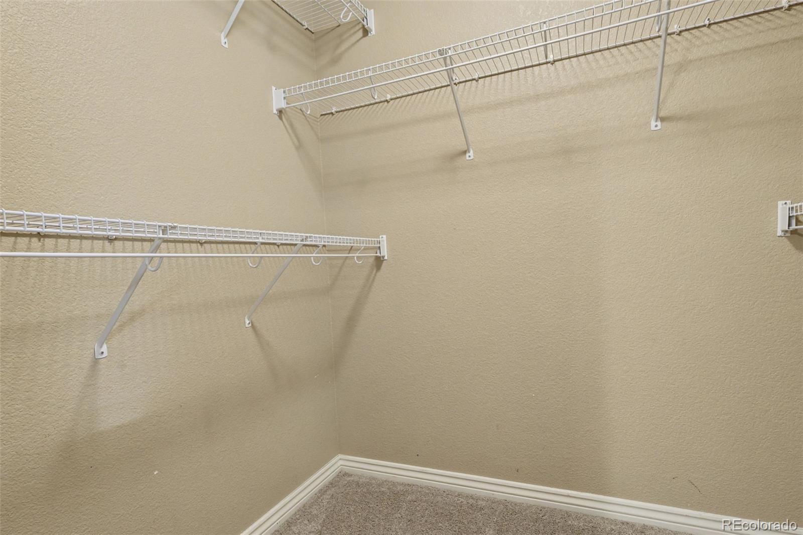 2703 Crooked Vine Court Colorado Springs CO 80921