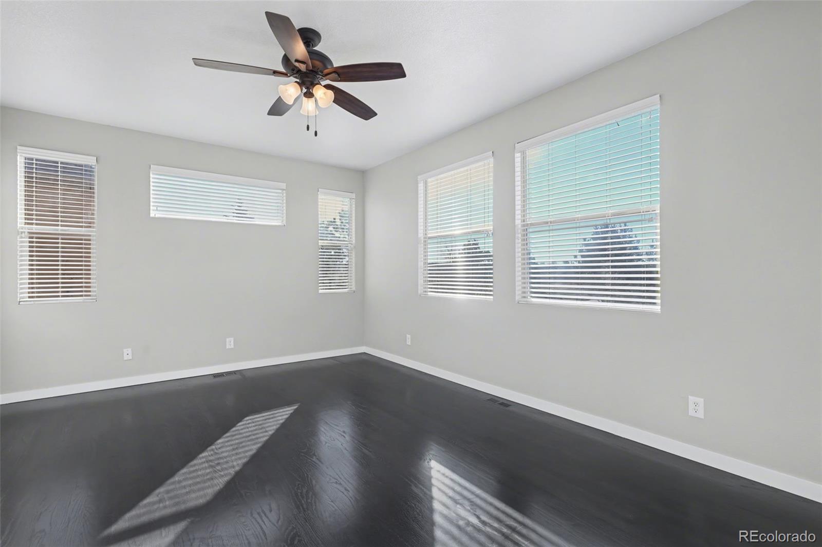 2703 Crooked Vine Court Colorado Springs CO 80921