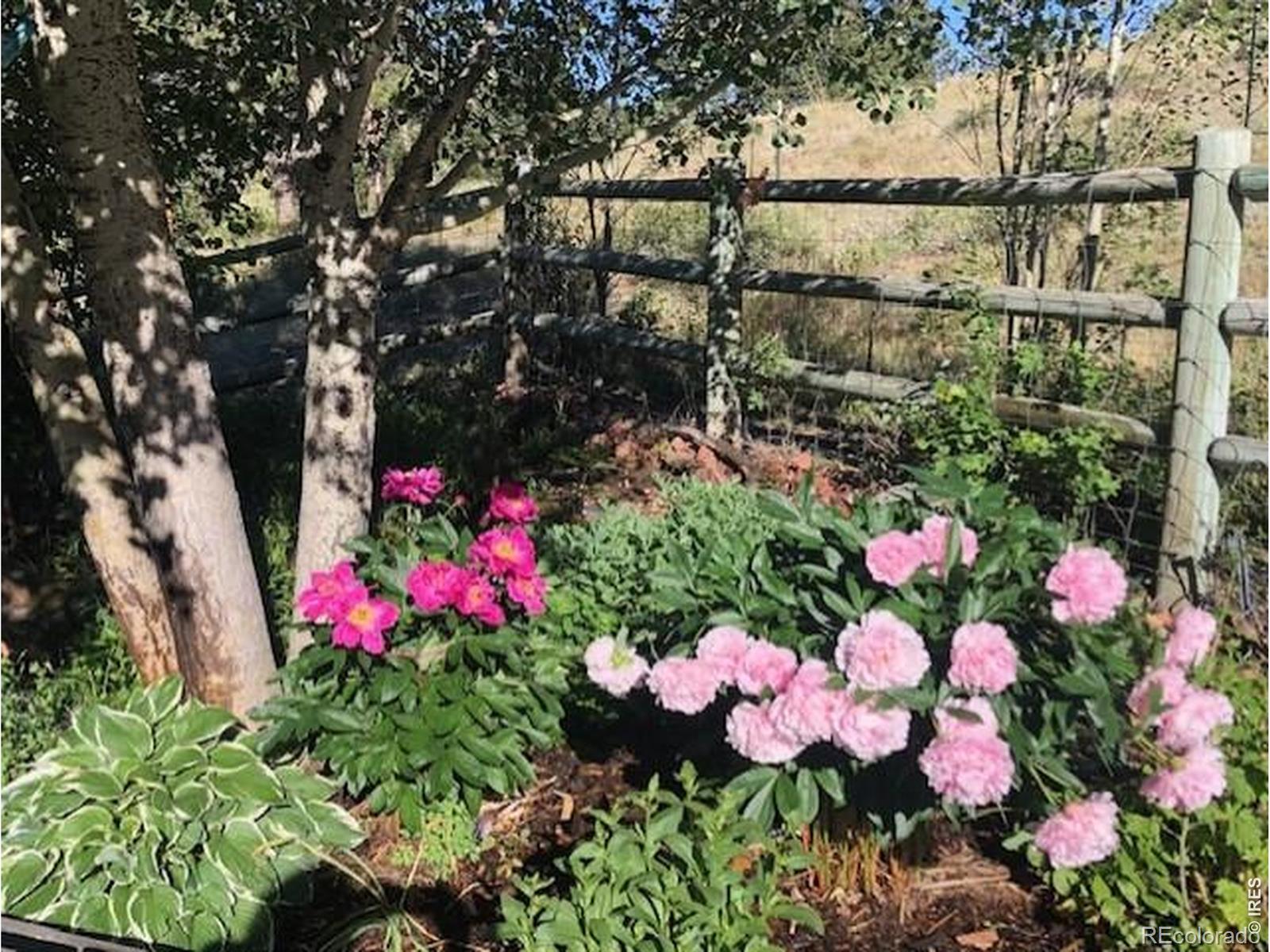 17284 W County Road 74e Highway Red Feather Lakes CO 80545