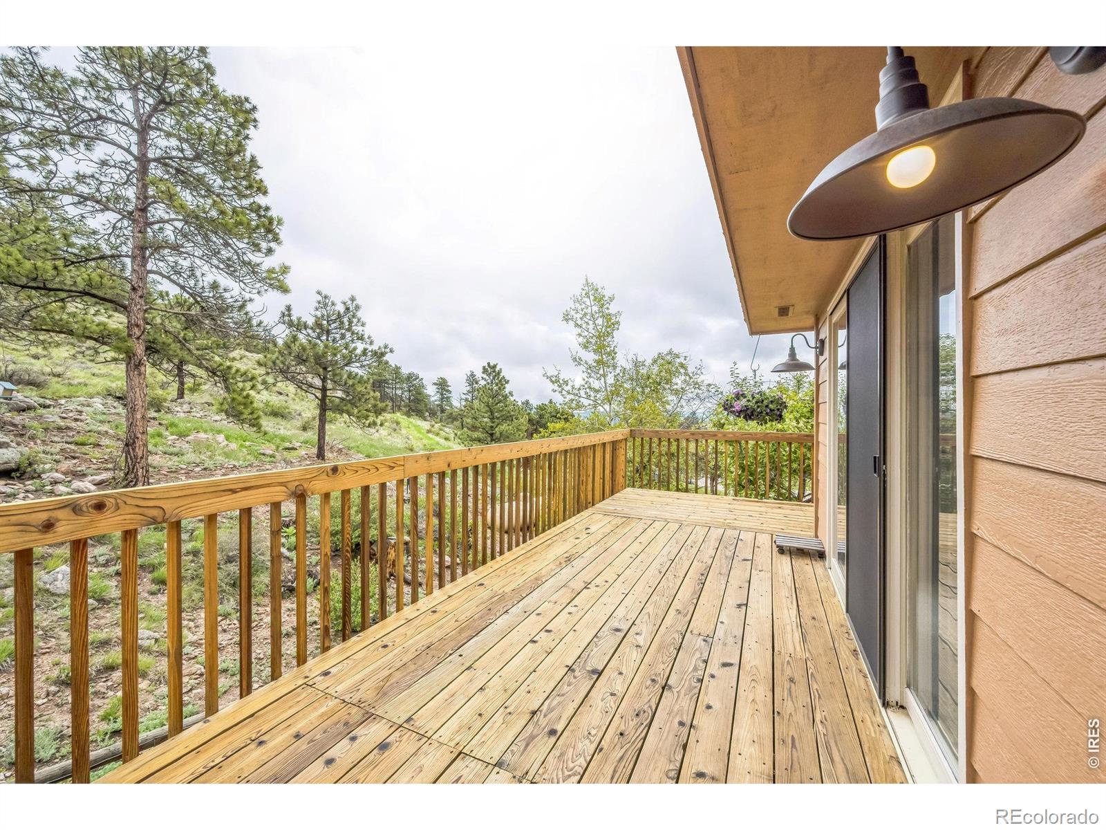 17284 W County Road 74e Highway Red Feather Lakes CO 80545