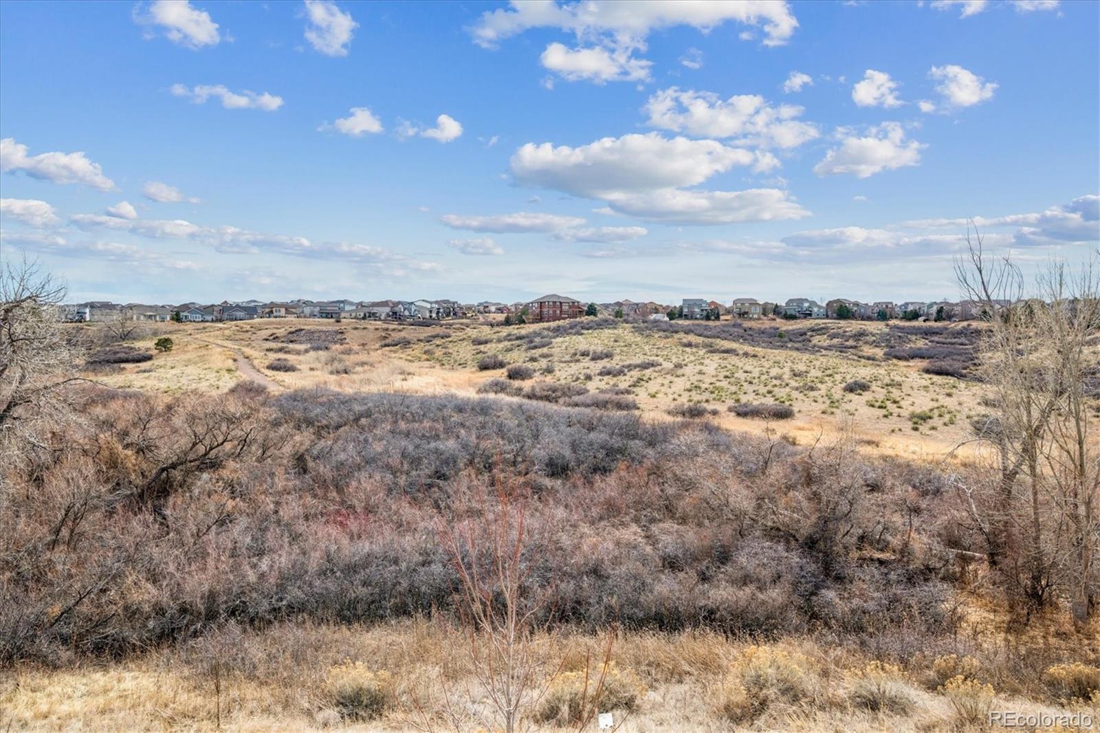 11585 Tyrolite Lane Parker CO 80138