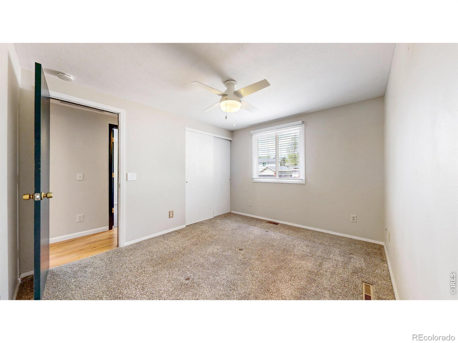 1624 Enfield Street Fort Collins CO 80526