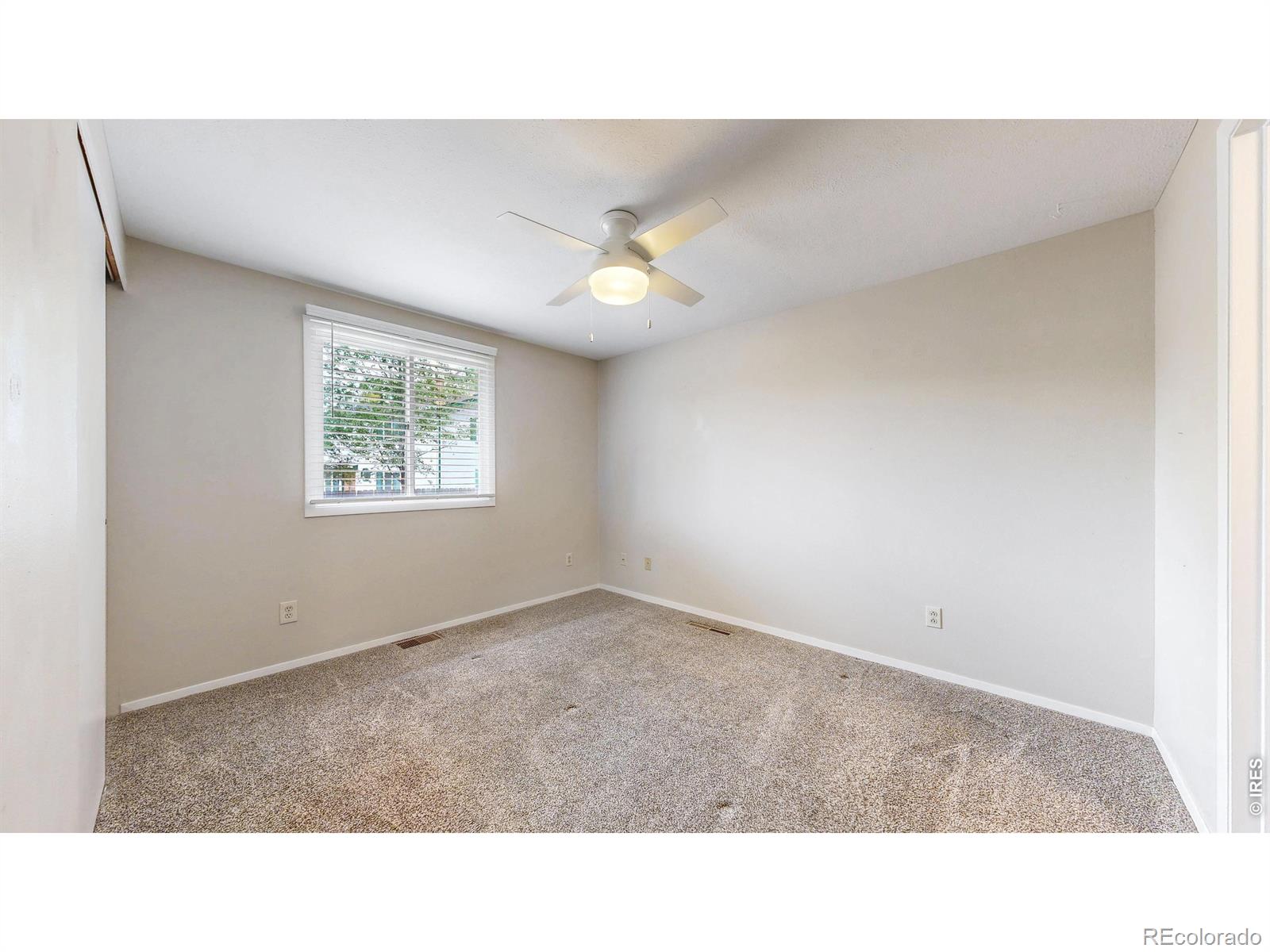 1624 Enfield Street Fort Collins CO 80526