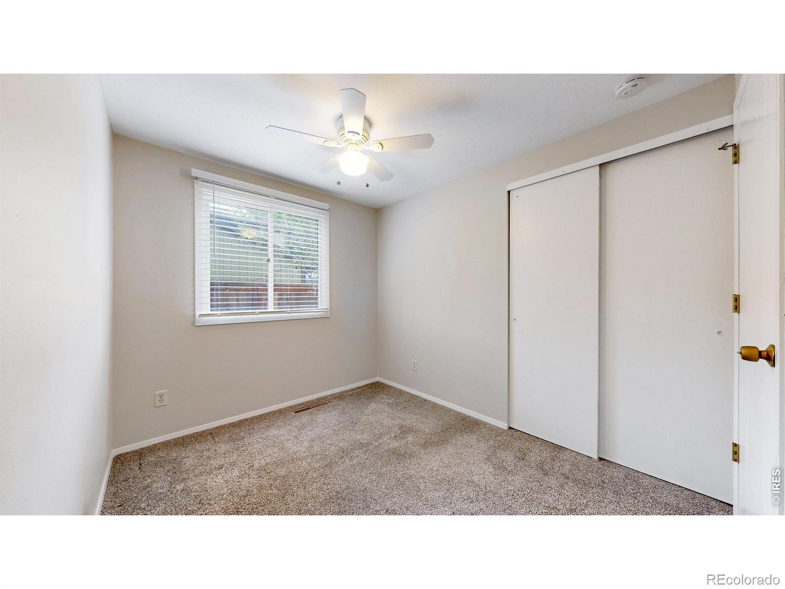 1624 Enfield Street Fort Collins CO 80526