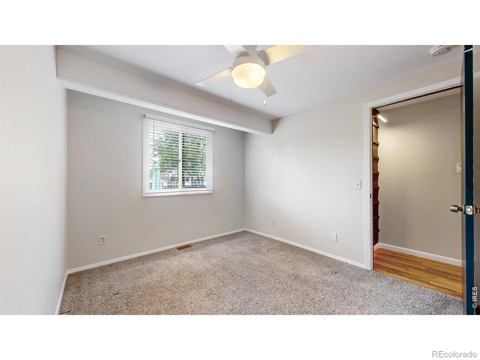 1624 Enfield Street Fort Collins CO 80526