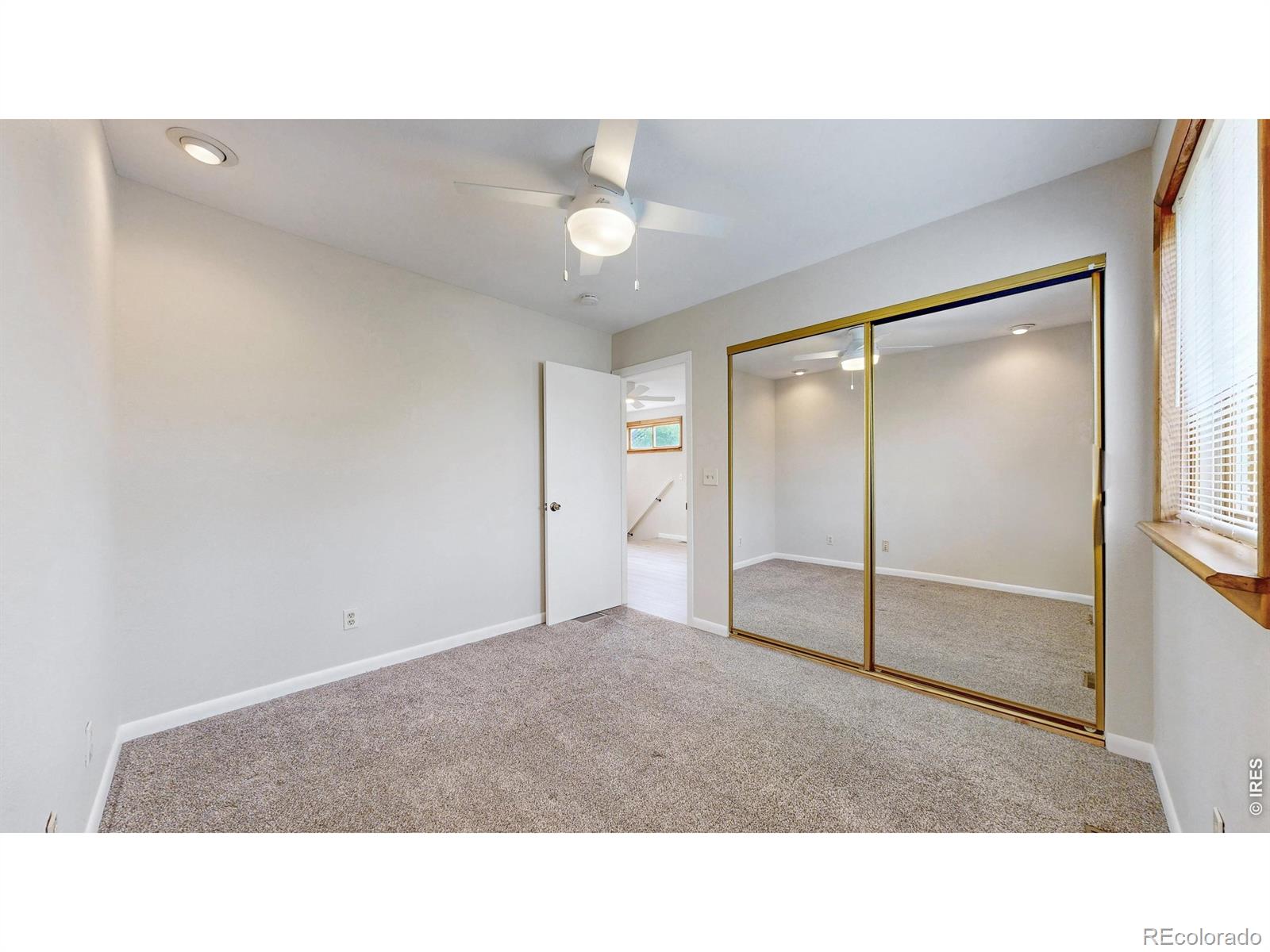 1624 Enfield Street Fort Collins CO 80526