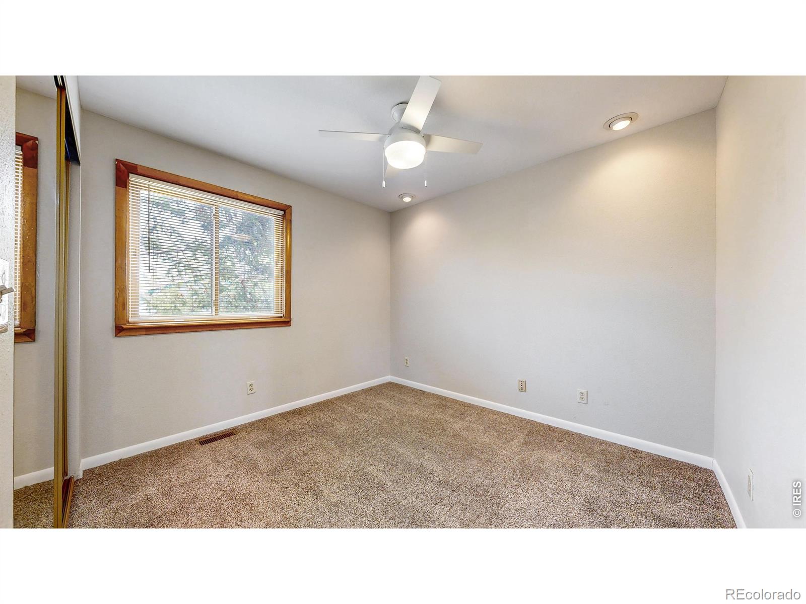 1624 Enfield Street Fort Collins CO 80526