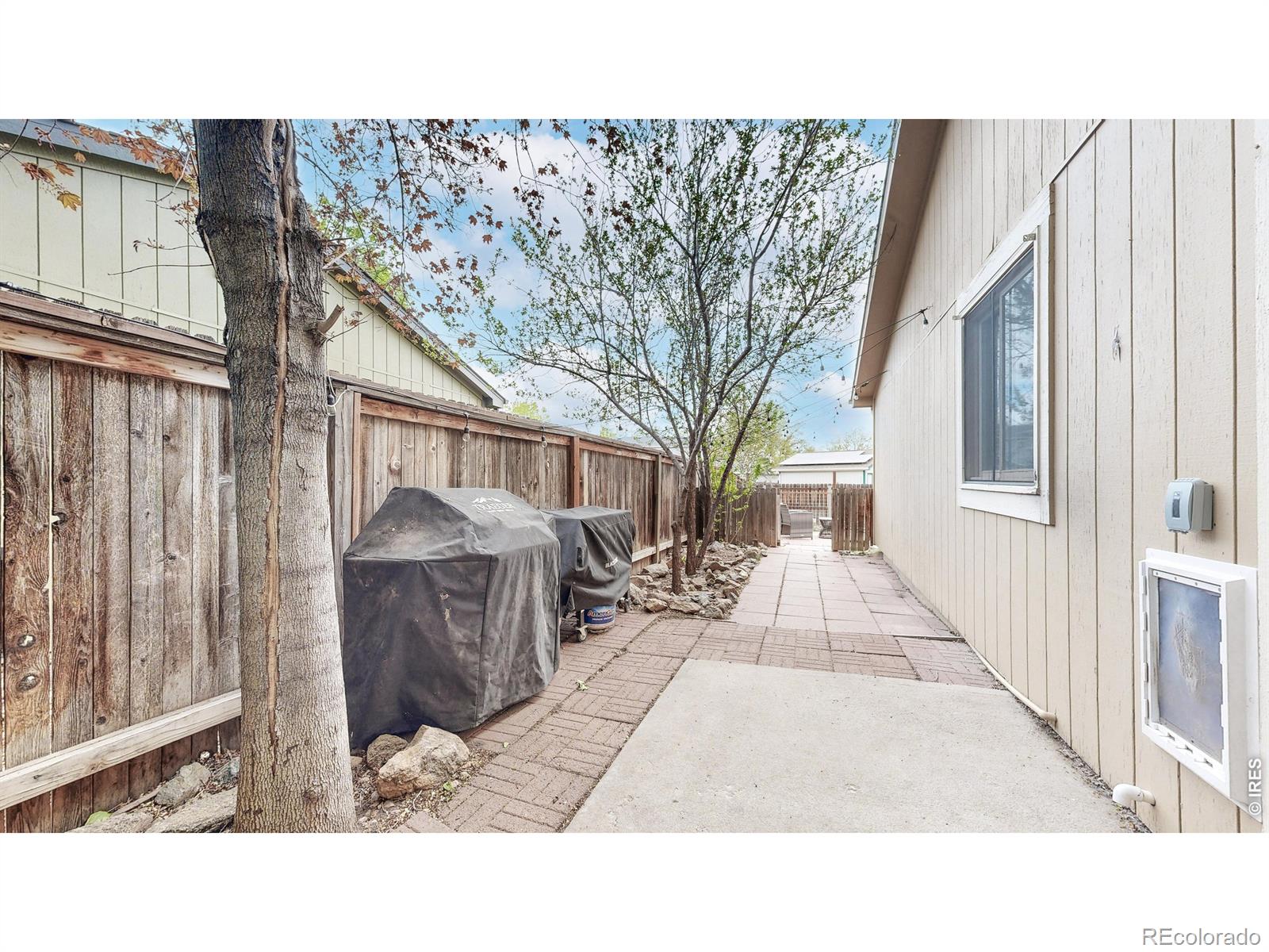 1624 Enfield Street Fort Collins CO 80526
