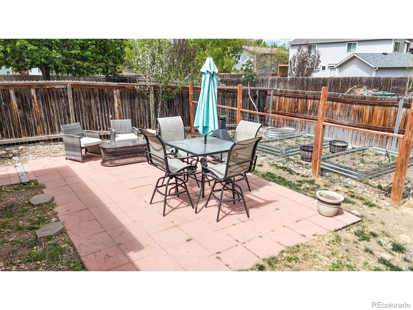 1624 Enfield Street Fort Collins CO 80526