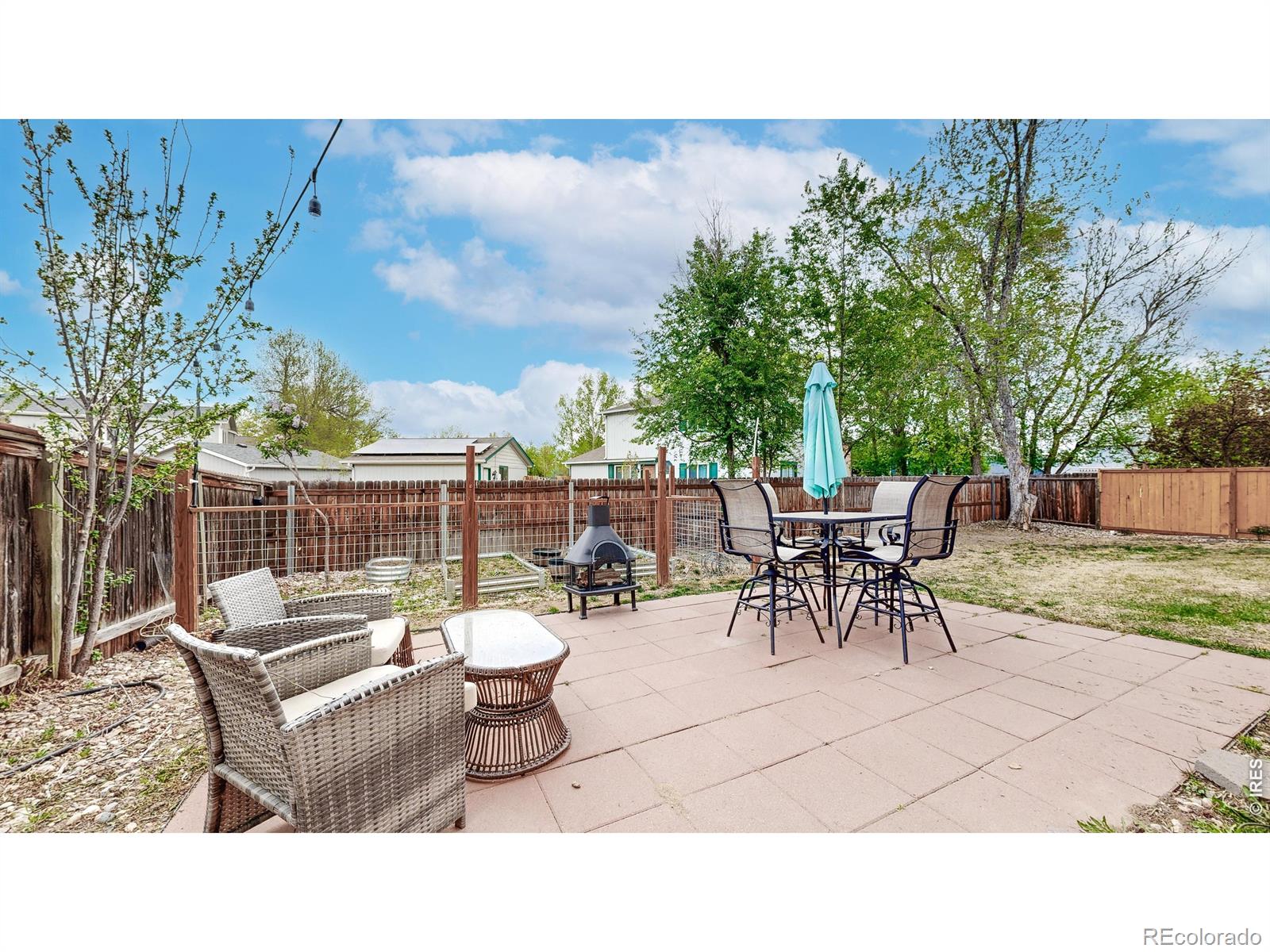 1624 Enfield Street Fort Collins CO 80526