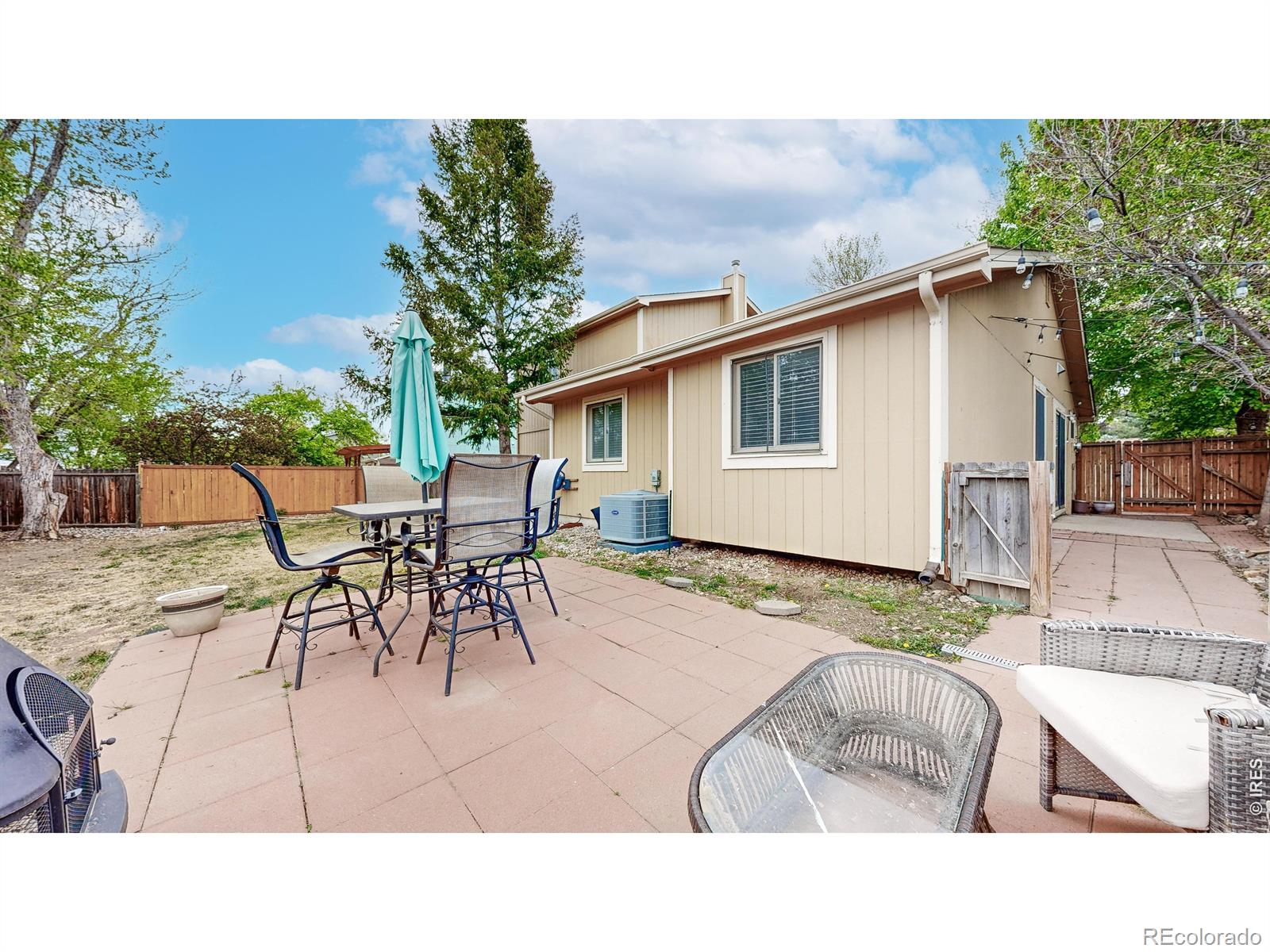 1624 Enfield Street Fort Collins CO 80526
