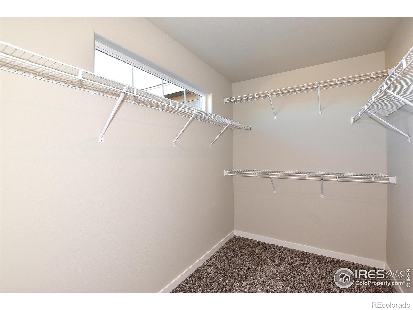 3304 Sapphire Court Evans CO 80634