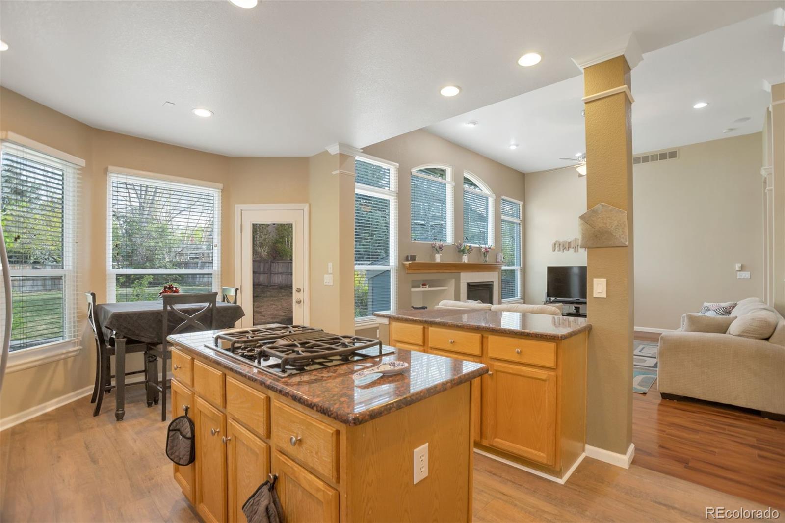 10420 White Pine Drive Parker CO 80134