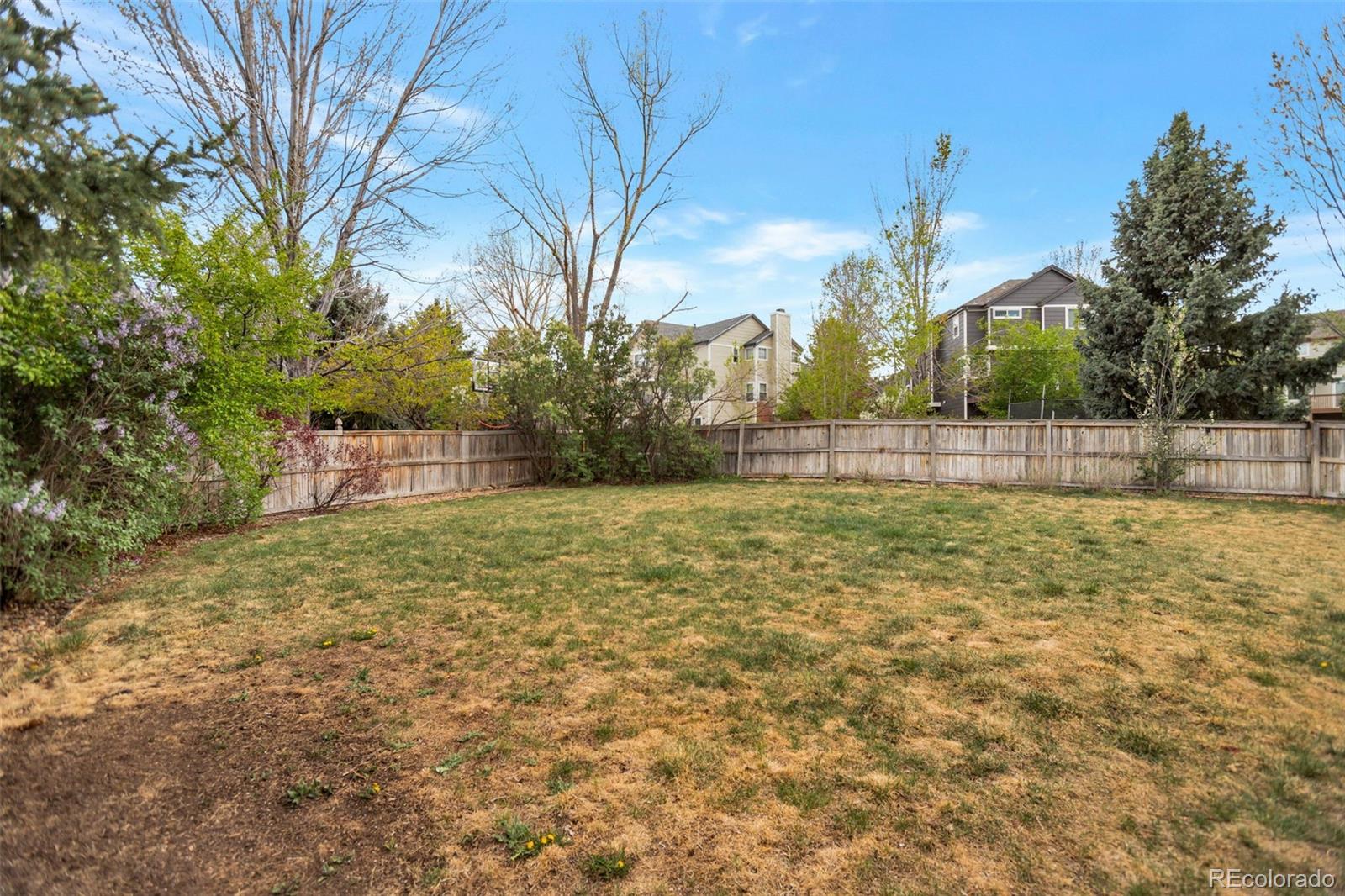 10420 White Pine Drive Parker CO 80134