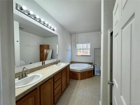 82 Adelaide Court Leadville CO 80461