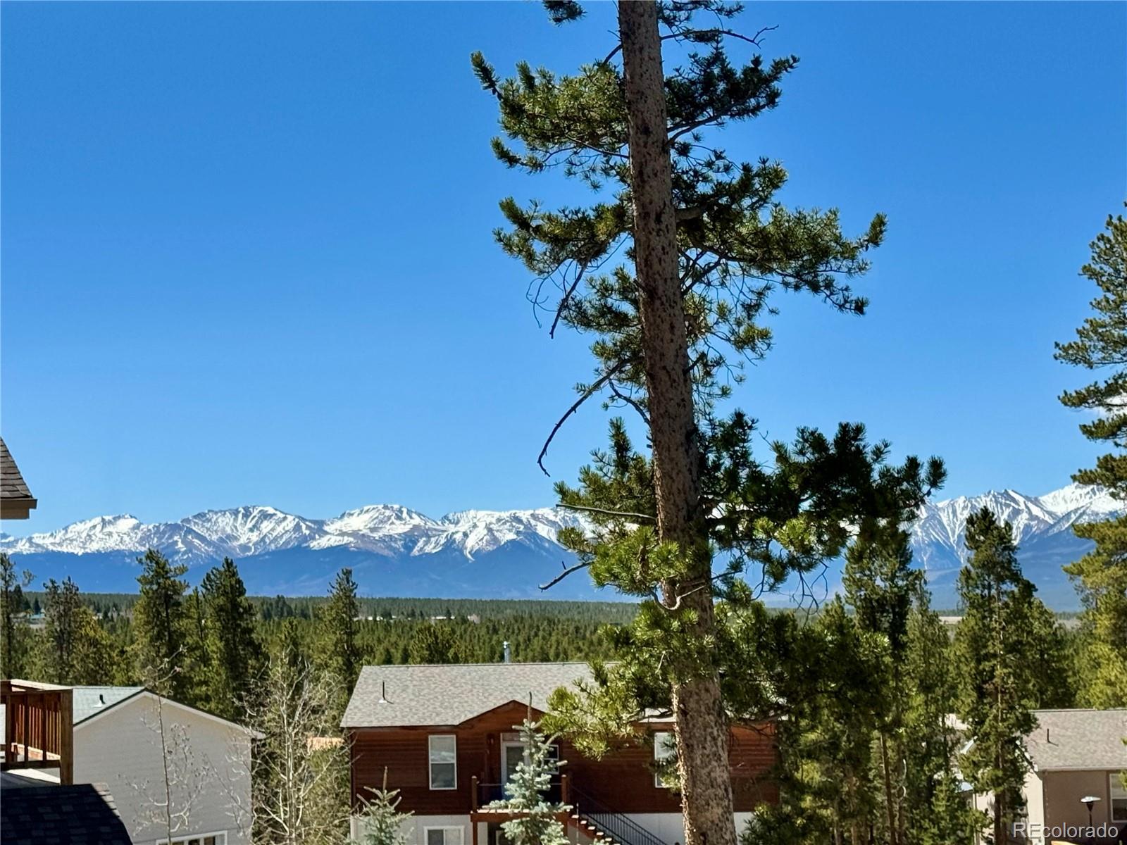 82 Adelaide Court Leadville CO 80461