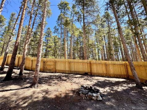 82 Adelaide Court Leadville CO 80461