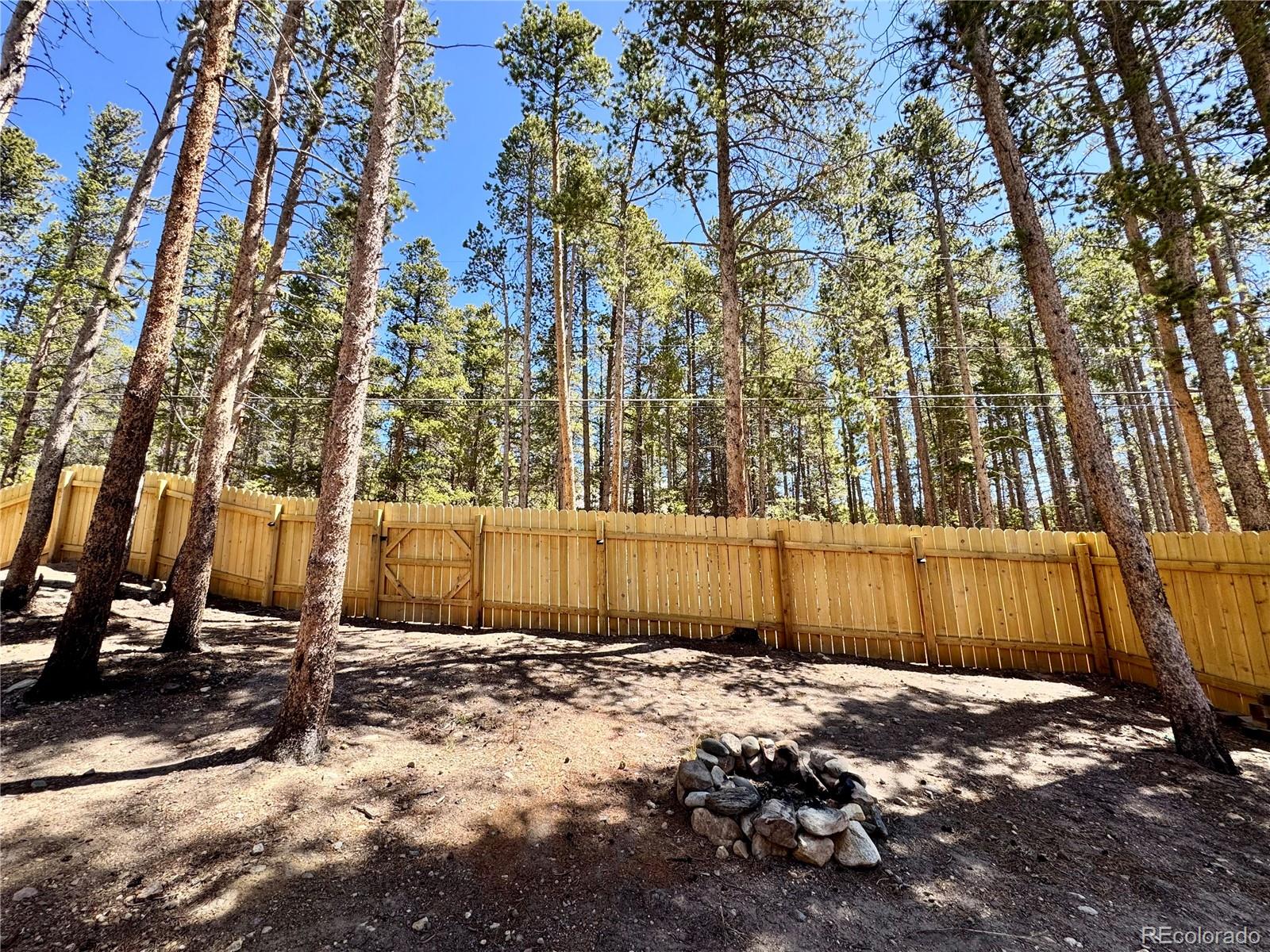 82 Adelaide Court Leadville CO 80461