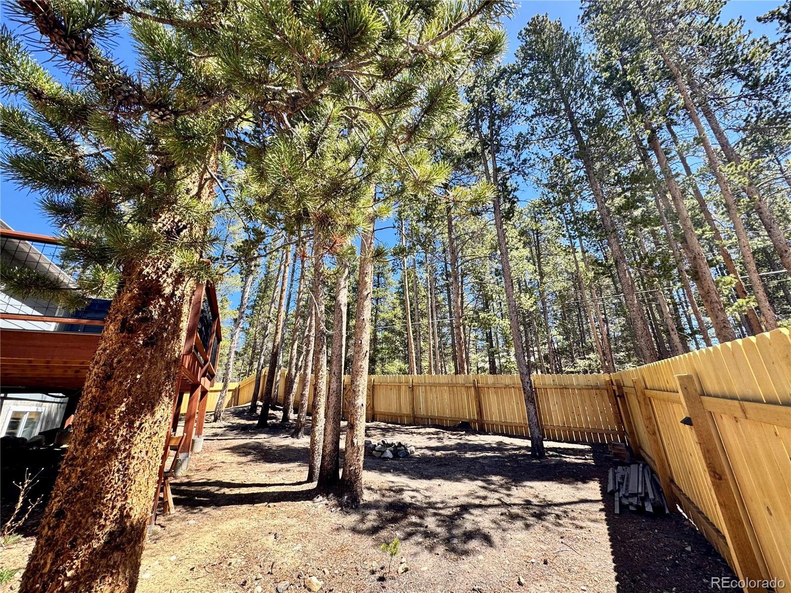 82 Adelaide Court Leadville CO 80461