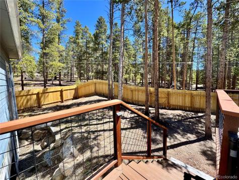 82 Adelaide Court Leadville CO 80461