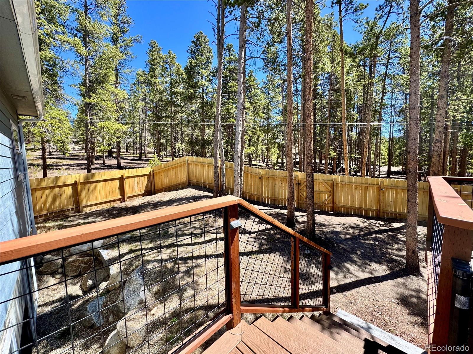 82 Adelaide Court Leadville CO 80461