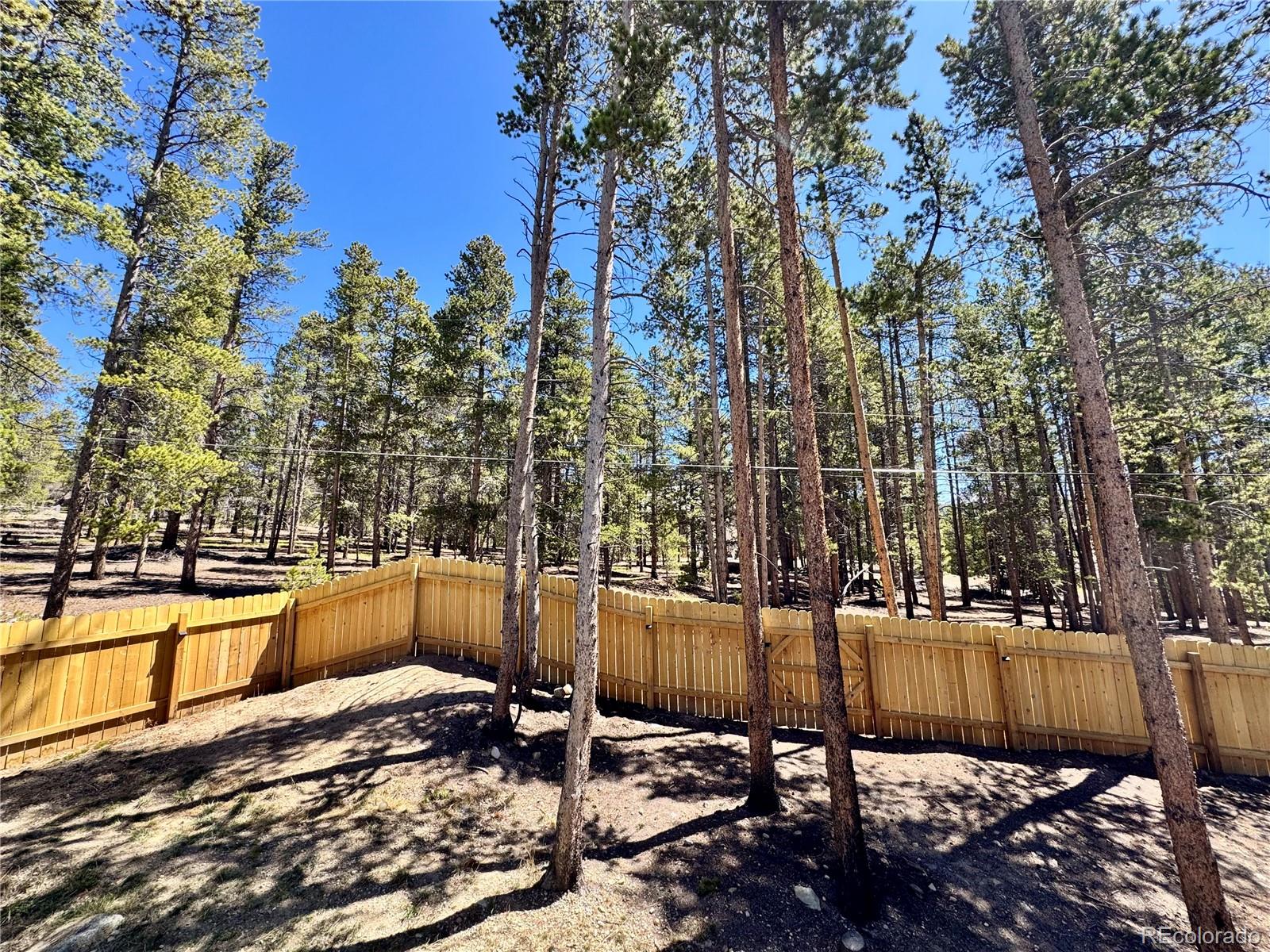 82 Adelaide Court Leadville CO 80461