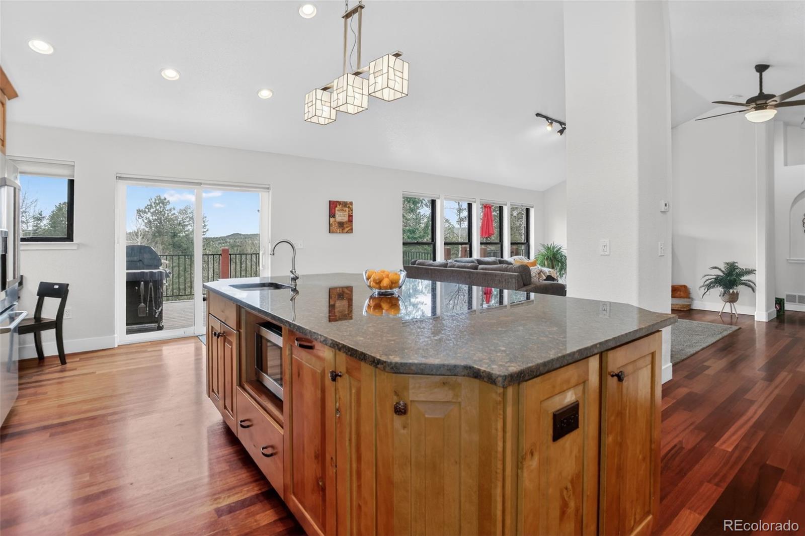 11049 Schweigert Avenue Conifer CO 80433