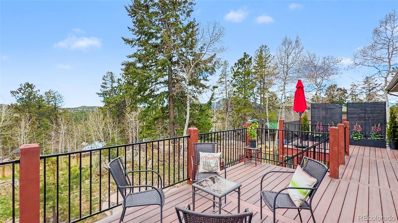 11049 Schweigert Avenue Conifer CO 80433