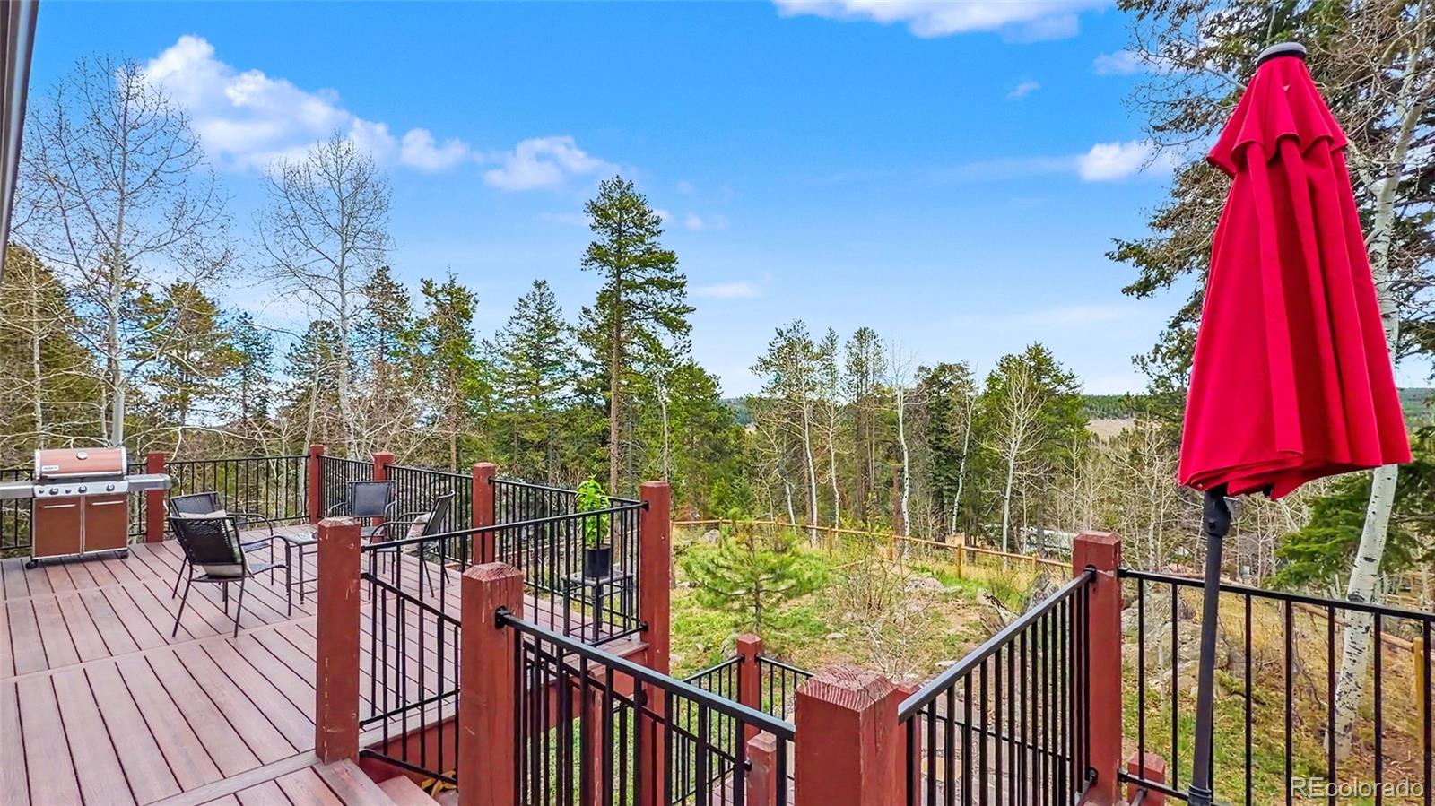 11049 Schweigert Avenue Conifer CO 80433