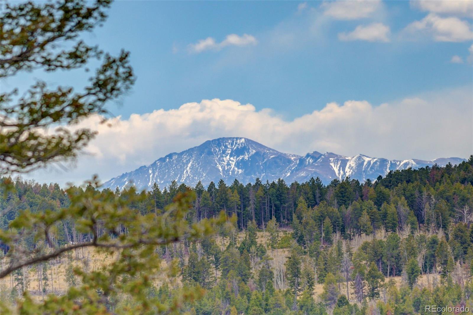 11049 Schweigert Avenue Conifer CO 80433